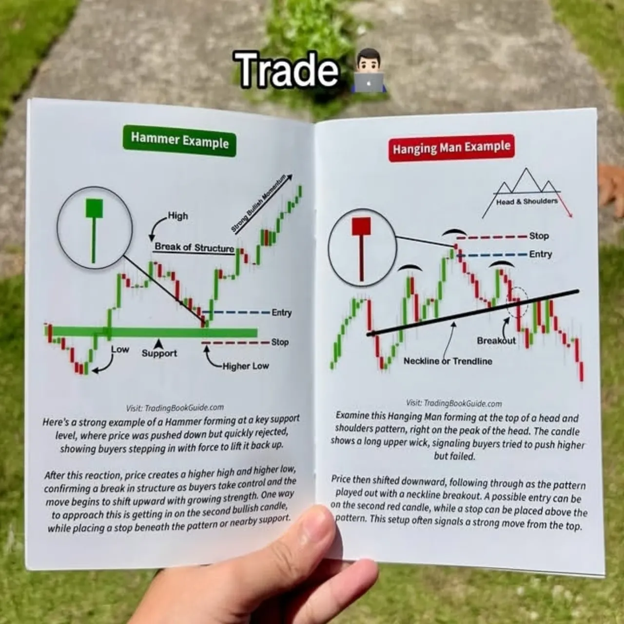 Hammer, Tweezer Candlestick Trading Bot